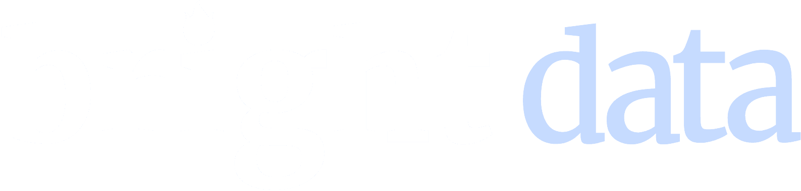 Bright Data logo